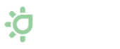 Winged Edge